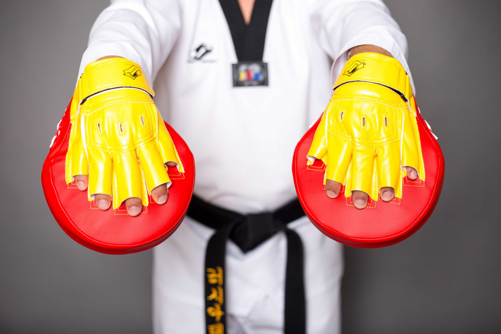 Лапа тренерская ProfSport для Тхэквондо