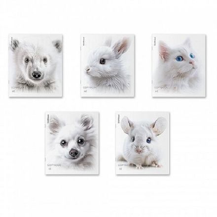 Тетрадь 48л, А4, клетка, Erich Krause Whiteout, УФ-лак, soft-touch, в ассортименте