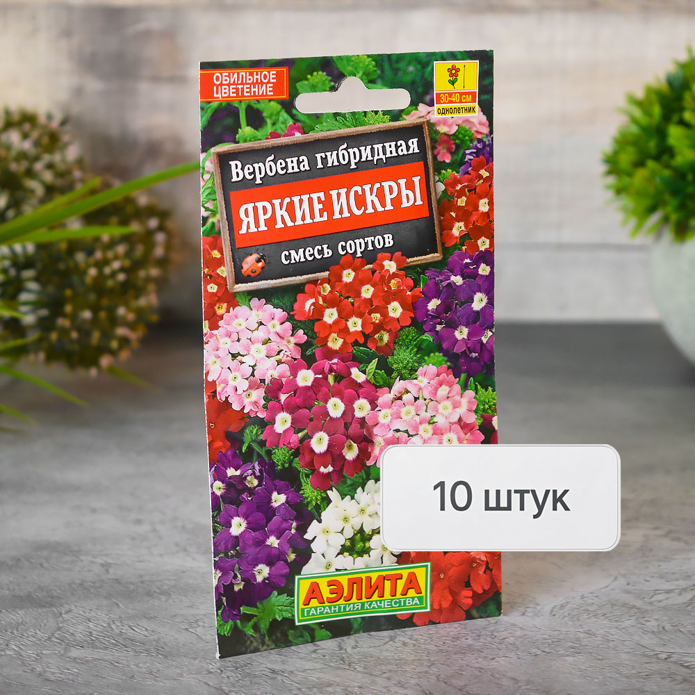 ВЕРБЕНА Яркие искры Аэлита Ц (10шт)