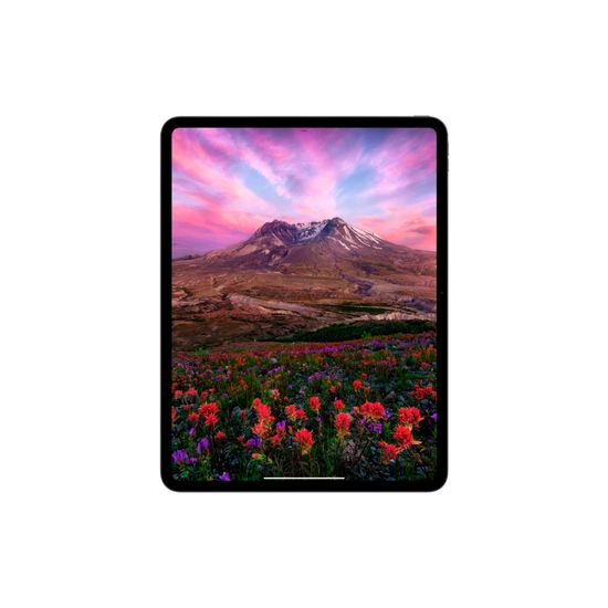 Apple iPad Pro (M4, 2024) 11" Wi-Fi + Cellular 1 ТБ, «черный космос»