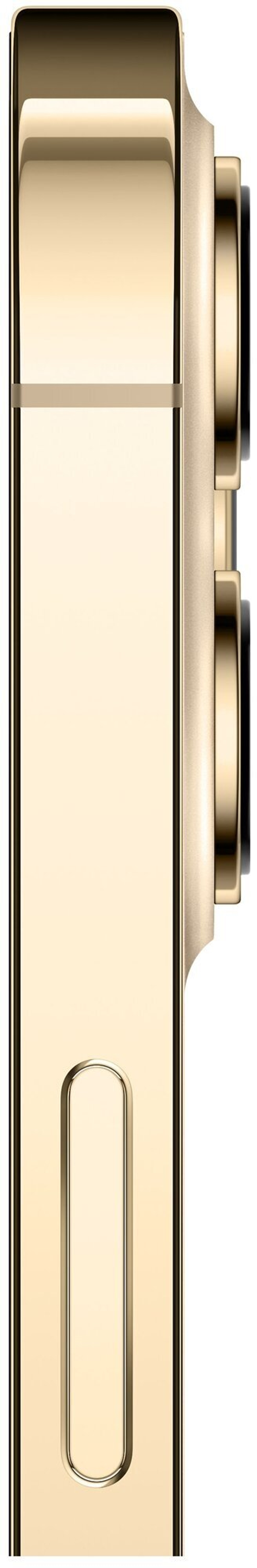 Смартфон Apple iPhone 12 Pro Max 256 ГБ, nano SIM+eSIM, золотой