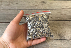 Бархатцы сортовые, большой пакет семян