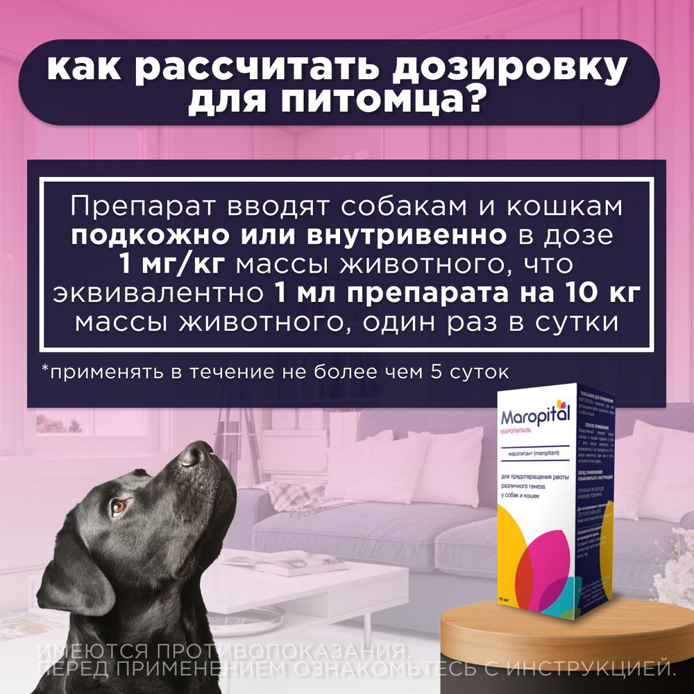 Средство противорвотное для собак и кошек Маропиталь Apicenna, 10 мл