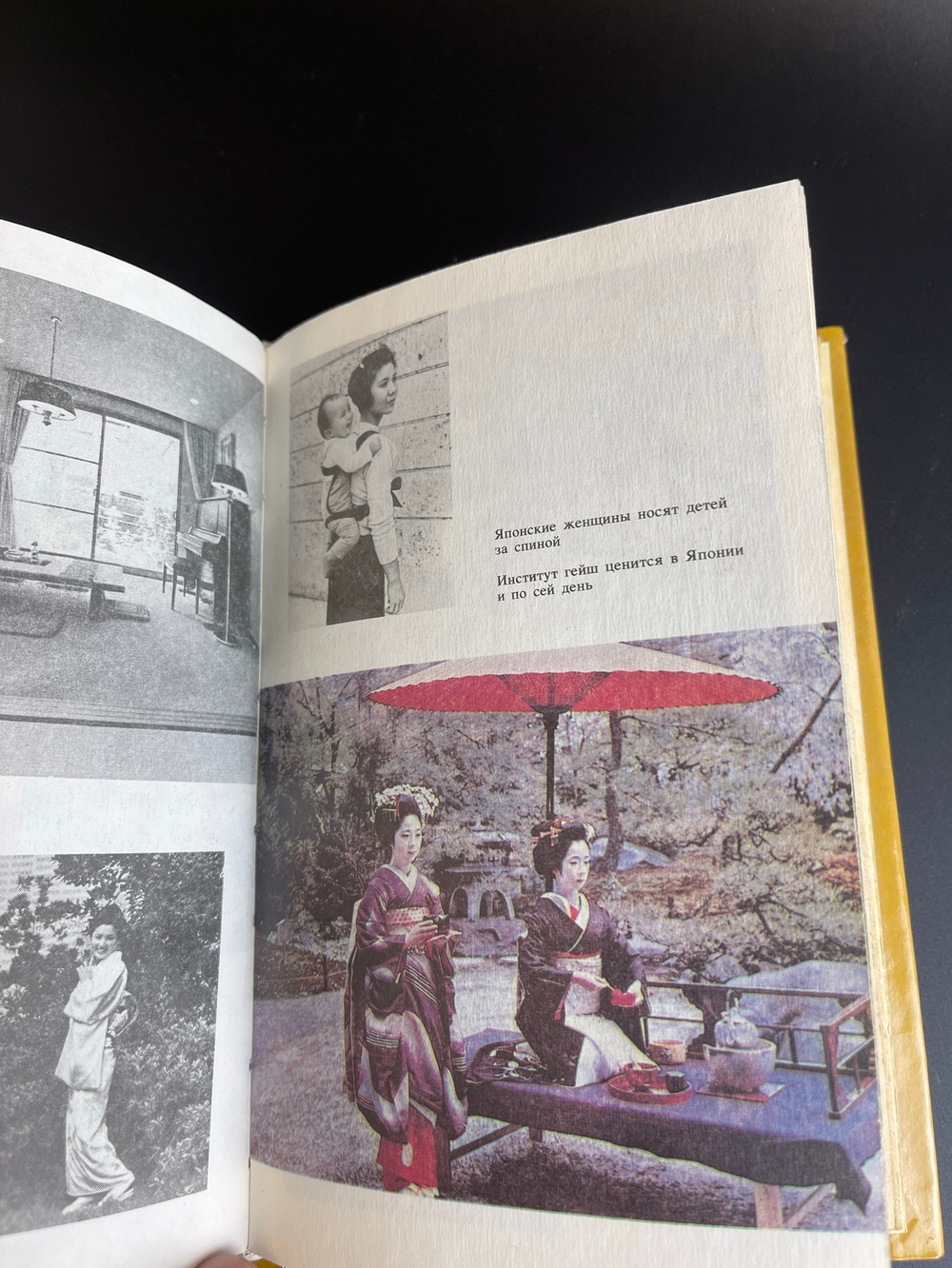 Книга "Японцы". Этнопсихологические очерки. Пронников В.А., Ладанов И.Д. 1996 год