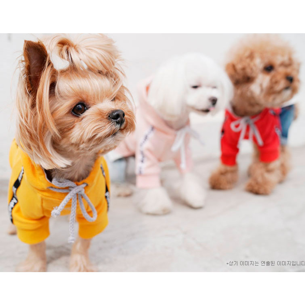 666 PA-TS Толстовка "PUPPY ANGEL"