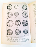 Растения и аллергия. Астафьева Н.Г., Адо В.А., Горячкина Л.А.