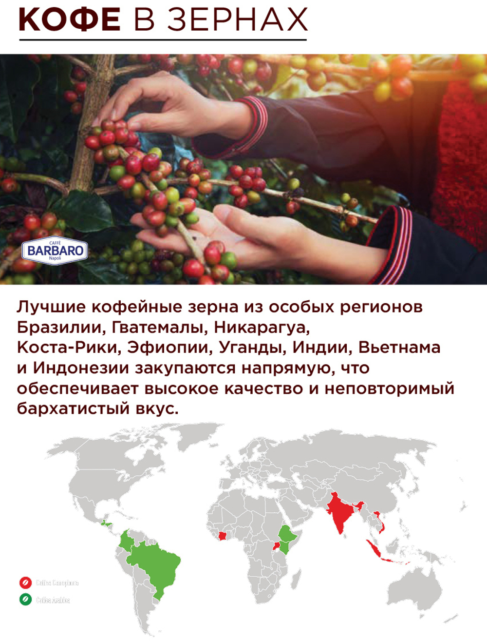 Кофе в зернах Caffè Barbaro Napoli Gold 1 кг