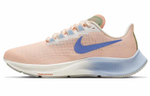 Кроссовки Nike Pegasus 37 (Женская размерная сетка)