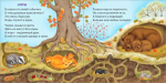 Книжки - картонки (бол). Удивительные дома животных