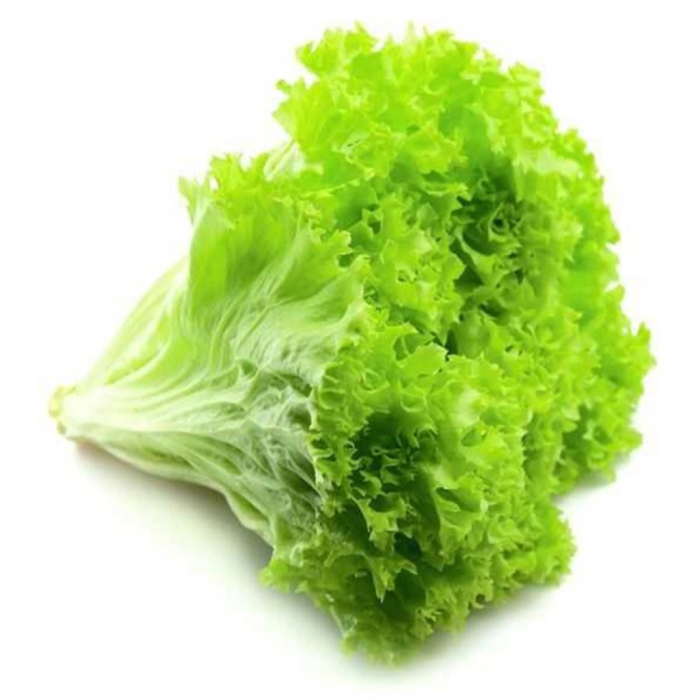 Салат Листовой