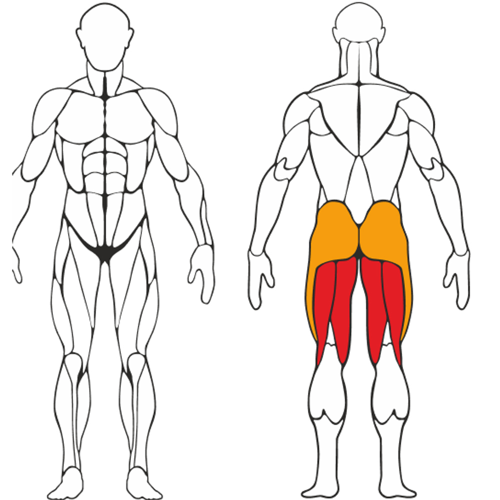 Сгибание ног лежа Черный