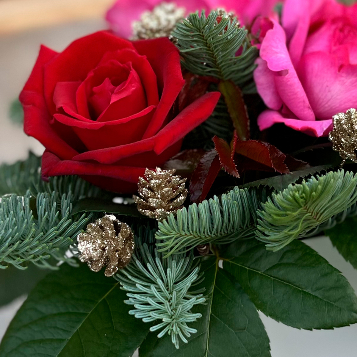 ❄ Рождественская звезда — RoseBox ароматных роз