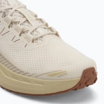 Кроссовки для бега Salomon Drx Defy GRVL vanilla ice/green haze/white pepper