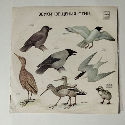 Винтажная виниловая пластинка LP Звуки Общения Птиц 10 дюймов (СССР 1987)