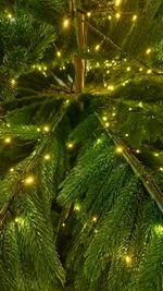 Ствольная елка с гирляндой встроенной «Изящная» (Литая хвоя) от 3 м до 8 м