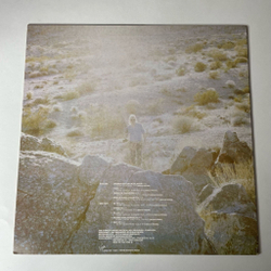 Винтажная виниловая пластинка LP Edgar Froese Solo 1974 1979 (UK 1982)