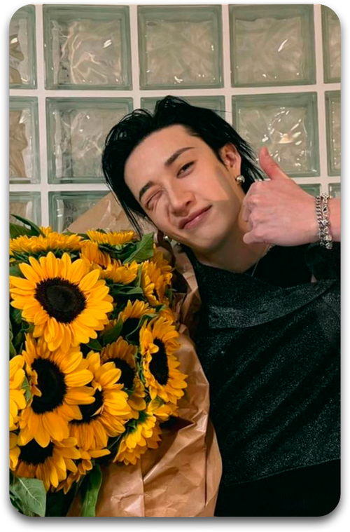 Карта / STRAY KIDS #4027