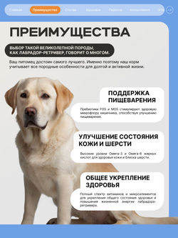 Корм сухой для взрослых собак породы Лабрадор-ретривер, премиум полнорационный комплекс, с индейкой, 3 кг, QUATTRO