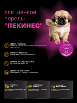 Quattro корм для щенков породы Пекинес, с говядиной, 6 кг, QUATTRO
