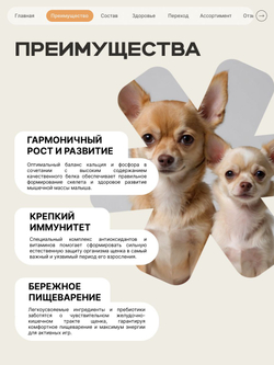 Корм сухой для щенков породы Французский бульдог, с индейкой, 800 гр, QUATTRO