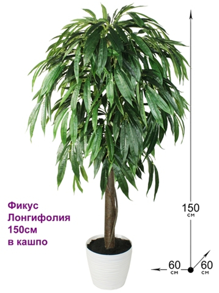 Искусственное дерево Фикус Лонгифолия 150см в кашпо