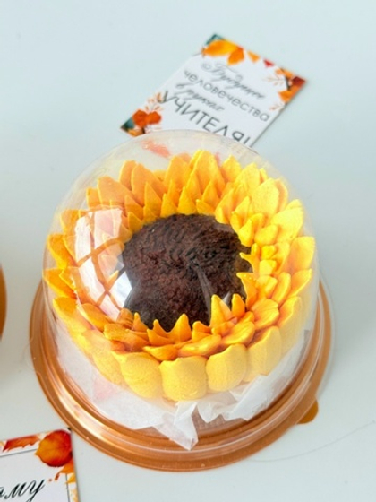 Купол «Подсолнух»