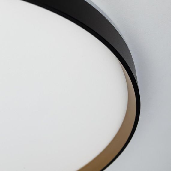 Светильник с пультом Citilux ETALON CL750501R