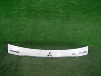 DSCN4167.JPG