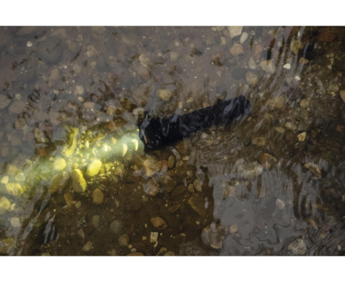 Фонарь Armytek Predator White (F01604C)