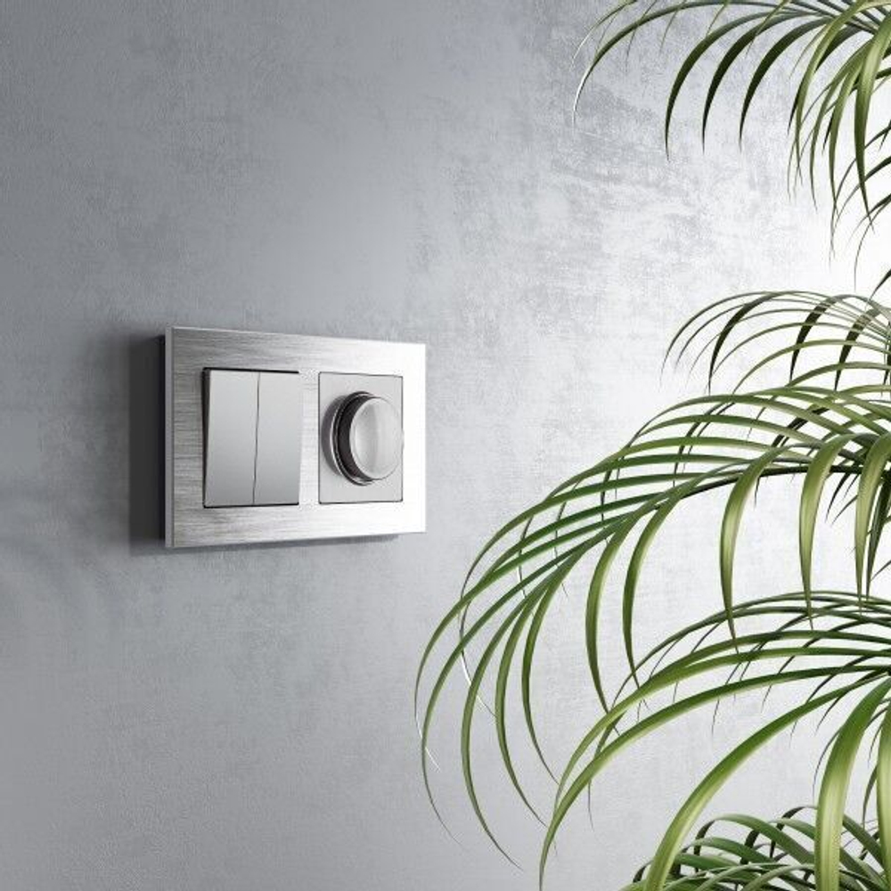 Перекрестный выключатель двухклавишный (серебряный)