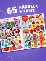 Наклейки «Как устроено моё тело», 16 стр