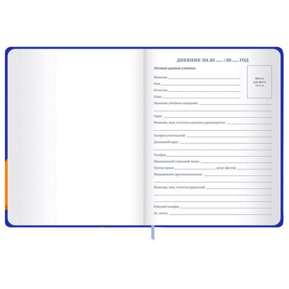 Дневник 1-11 класс 48 л., твердый, BRAUBERG, матовая ламинация, резинка, закладка-ляссе, с подсказом, "Гусь", 107237