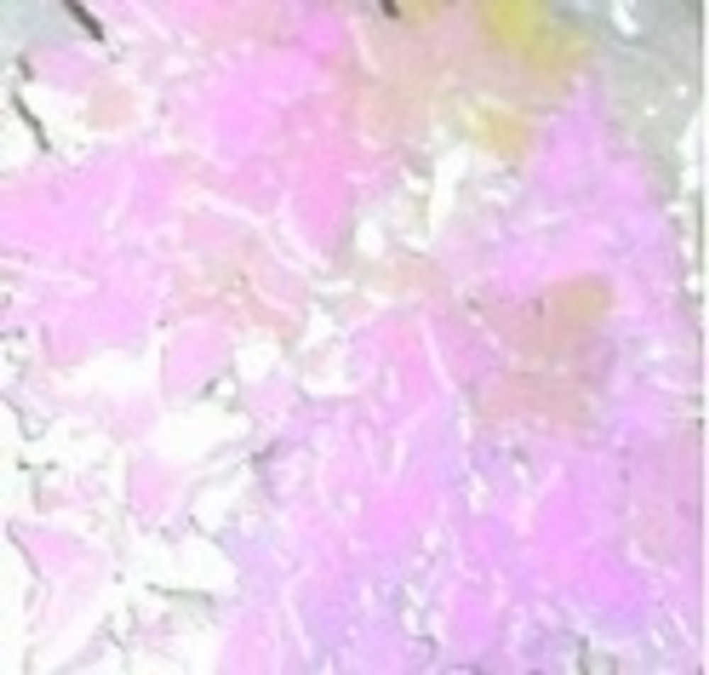 Пайетки фигурные голографические-(бабочки)10гр-Colibry