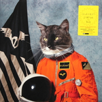 Klaxons / Surfing The Void (Coloured Vinyl)(2LP)