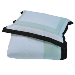 Постельное белье 2 спальное евро макси Casual Avenue Soho Frame светло-зеленое