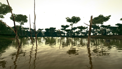 Ultimate Fishing Simulator - Amazon River (для ПК, цифровой код доступа)