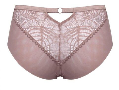 Трусики-слипы Denver из эластичного кружевного полотна и сетки (Размер: 44) (Цвет: кофейный)