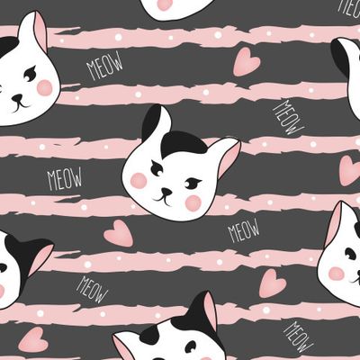 Мордочки черно-белых кошек