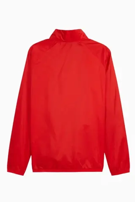 Ветровка Puma teamGOAL All Weather - черный