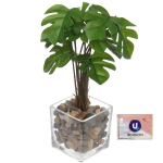 Цветочная композиция в стеклянном горшке «Монстера» 10*22см HL-19