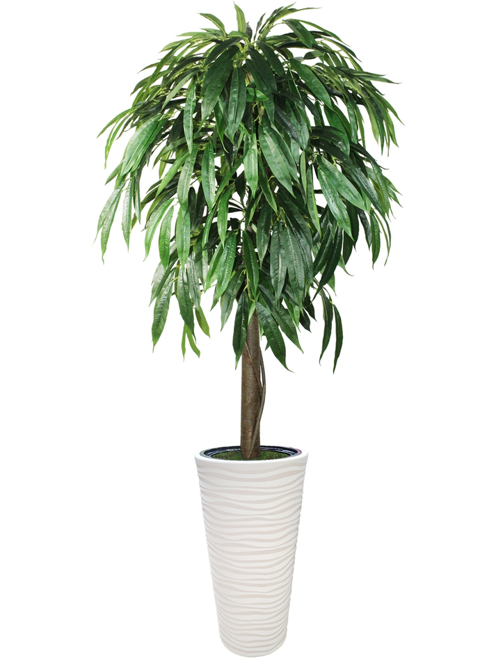 Искусственное дерево Фикус Лонгифолия 190 см в высоком круглом белом кашпо