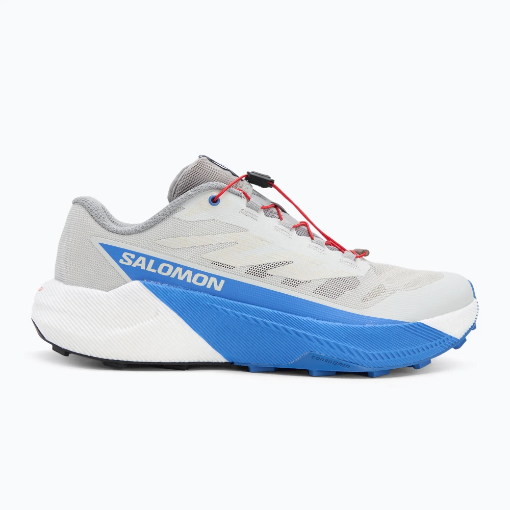 Кроссовки для бега Salomon Pulsar lunar rock/white/french blue