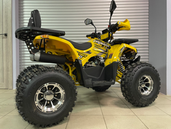 Квадроцикл PROMAX WILD 2.0 190 PRO (2025)