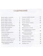 Консервированные грибы. Белые. Маслята. Опята. Лисички. Шампиньоны