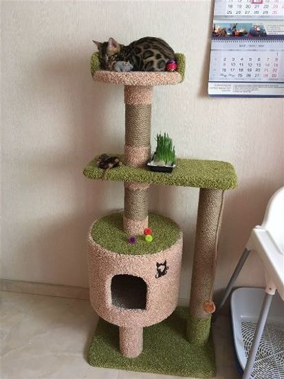 Домик для кота Д-2