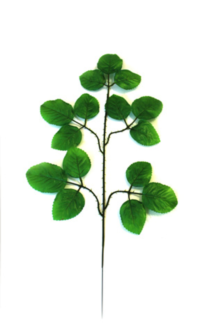 Ветка/лист розы