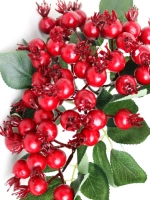 Шиповник, 5 веток.