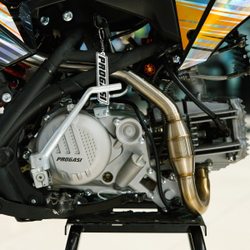 Питбайк PROGASI SMART 190CC GOLD 17/14