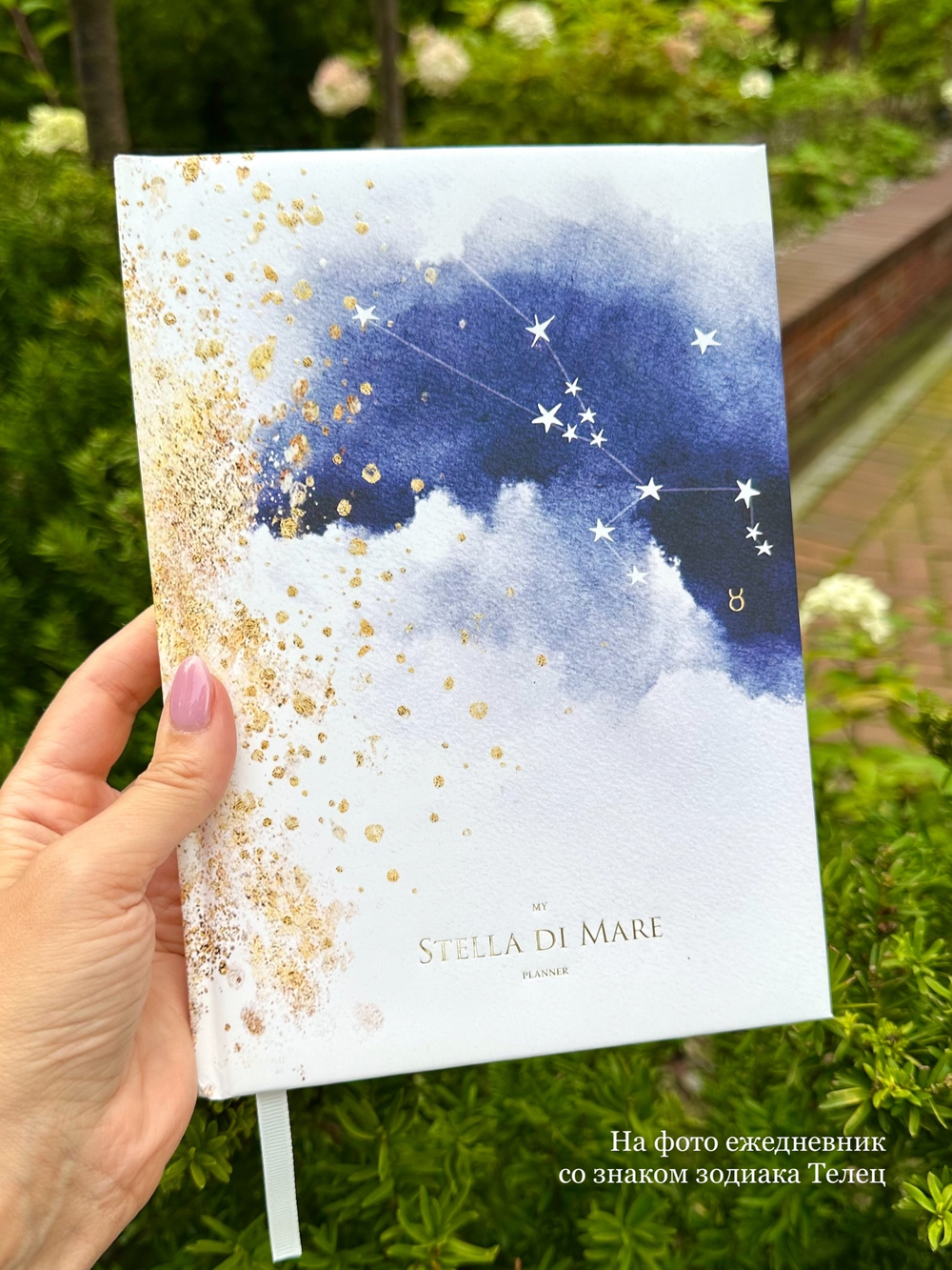 Ежедневник Stella Zodiac New Era - Козерог