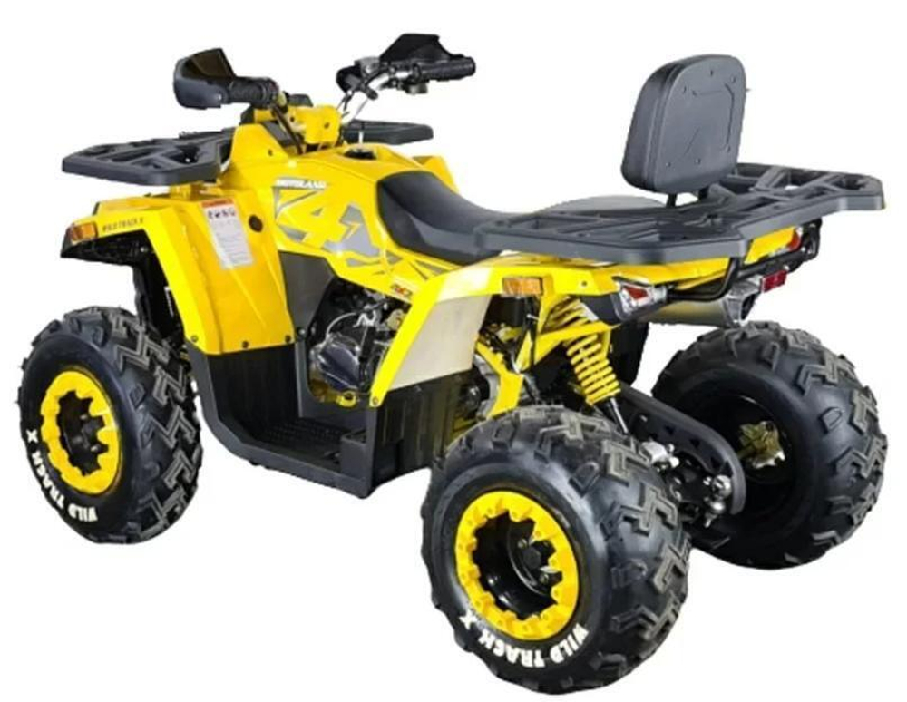 Квадроцикл MOTOLAND 200 WILD TRACK X